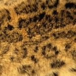 zhivotnoe-Animal fur textures (82)