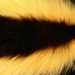 zhivotnoe-Animal fur textures (49)