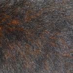 zhivotnoe-Animal fur textures (5)
