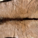 zhivotnoe-Animal fur textures (56)